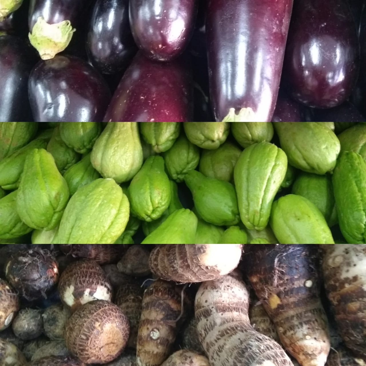 WhatsApp Image 2018 10 03 at 09.56.54