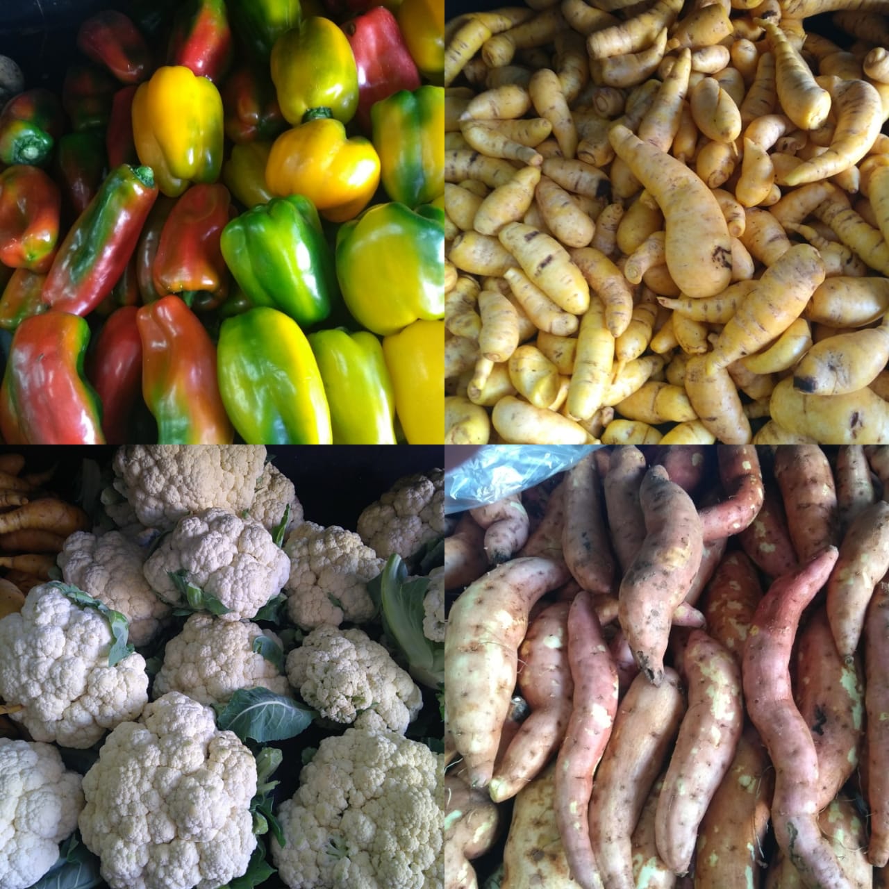 WhatsApp Image 2018 10 03 at 09.56.54 1