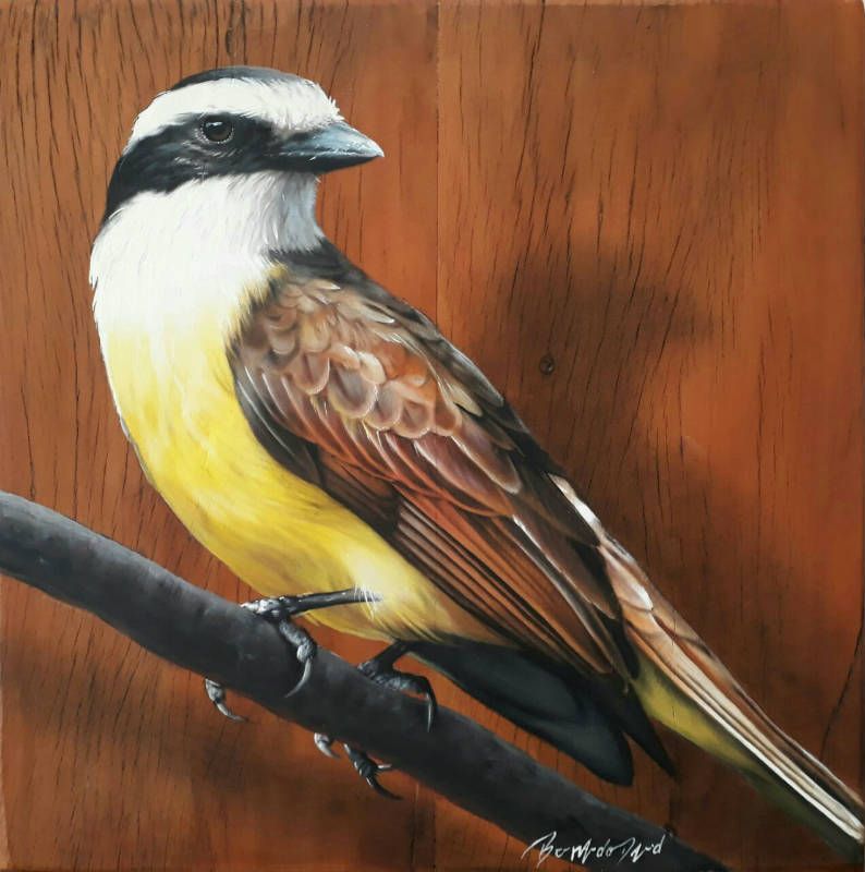 GRD 2713 quadro bemtevi madeira