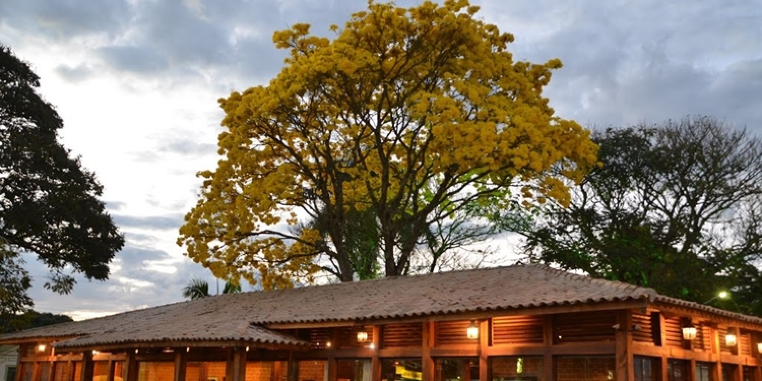 Bares - Restaurantes - Pizzarias - Churrascarias - S&atilde;o Tiago